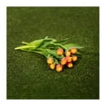 thumbnail image 3 of Member's Mark Tulips, 50 stems, 3 of 3