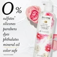 thumbnail image 2 of Pantene Pro-V Miracle Moisture Boost with Rose Water Shampoo (30 fl. oz.), 2 of 10