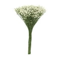 thumbnail image 3 of Member's Mark Pina Colada Limonium 60 stems, 3 of 5