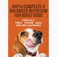 thumbnail image 4 of Purina Moist & Meaty Burger with Cheddar Cheese Flavor, Adult Dog Food, 6 oz., 60 ct., 4 of 8
