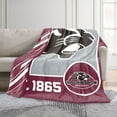thumbnail image 2 of Logo Brands Virginia Union Panthers 60"x70" Super Plush Blanket, 2 of 6