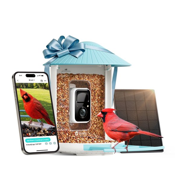 Birdfy Standard Smart Bird Feeder