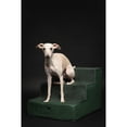 thumbnail image 5 of NOAH & PAW 3-5 Step Dog Stairs, Designed for Small-Medium Breeds, 5 of 5