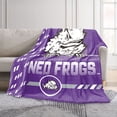 thumbnail image 2 of Logo Brands TCU Horned Frogs 60"x70" Super Plush Blanket, 2 of 7