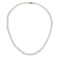 thumbnail image 1 of White Cultured Freshwater Pearl Strand Necklace, 1 of 4