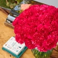 thumbnail image 5 of Member's Mark Carnations, choose color and stem count, 5 of 6