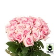 thumbnail image 2 of Member's Mark Fair Trade Roses, 75 stems, Choose color variety, 2 of 5