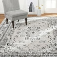 thumbnail image 1 of Home Dynamix Premium Sakarya Traditional Medallion Area Rug, Various Sizes, Assorted Sizes and Designs, 1 of 6