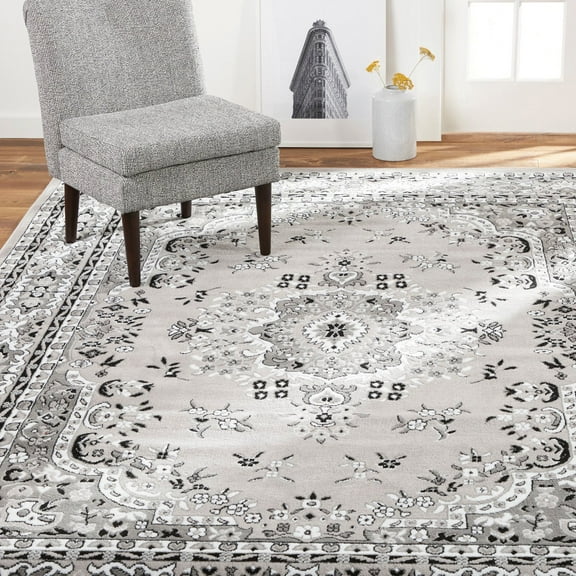 Home Dynamix Premium Sakarya Traditional Medallion Area Rug, Various Sizes, Assorted Sizes and Designs