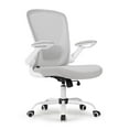 thumbnail image 1 of Onyx Ergonomic Office Chair, 1 of 10
