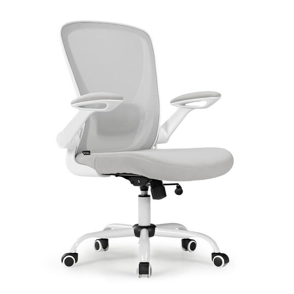 Onyx Ergonomic Office Chair