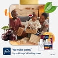 thumbnail image 4 of Glade PlugIns Scented Oil Air Freshener, Brandied Cherry, 4.02 fl. oz., 2 Warmers + 6 Refills, 4 of 8