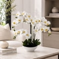 thumbnail image 3 of Artificial 20" Orchid in White Ceramic Planter, Assorted Colors, 3 of 5