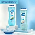 thumbnail image 5 of Dial Refresh & Renew Body Wash, Spring Water, 16 oz., 4 pk., 5 of 7