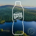 thumbnail image 4 of Truckload Poland Spring Bottled Water, 16.9 fl. oz., 40 pk., 912 cases, 4 of 4