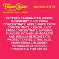 thumbnail image 3 of Topo Chico Sabores Raspberry with Lemon Cans, 12 fl. oz., 24 pk., 3 of 4