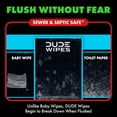 thumbnail image 3 of DUDE Wipes XL Flushable Wipes, Dingle Bells, 8 ct., 384 wipes, 3 of 7
