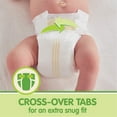 thumbnail image 12 of Member's Mark Premium Baby Diapers (Choose Your Size), 12 of 14