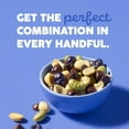 thumbnail image 6 of WildRoots Chocolatey Blueberry Protein Single Serve Trail Mix, 1.75 oz., 12 pk., 6 of 7