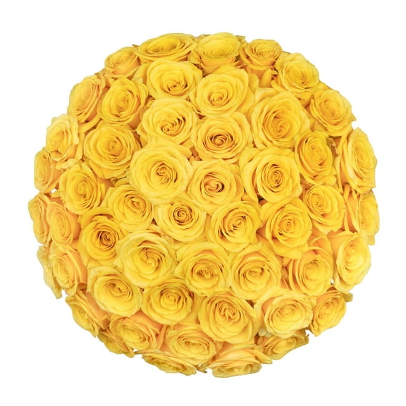 Member's Mark Ecuadorian Premium Roses, choose color variety and stem count