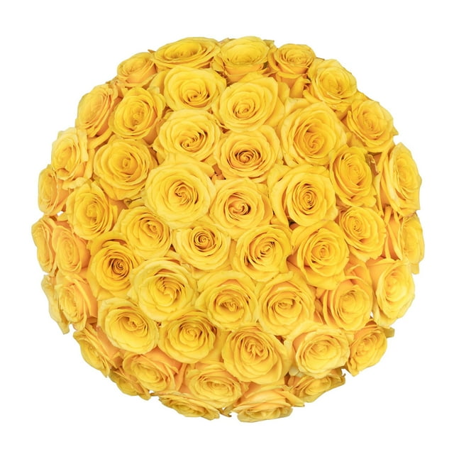 Member's Mark Ecuadorian Premium Roses, choose color variety and stem ...