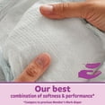 thumbnail image 5 of Member's Mark Premium Baby Diapers, Sizes Newborn - 7, 5 of 11