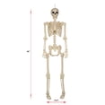 thumbnail image 5 of Member's Mark Talking Skeletons, Set of 2, 5 of 9