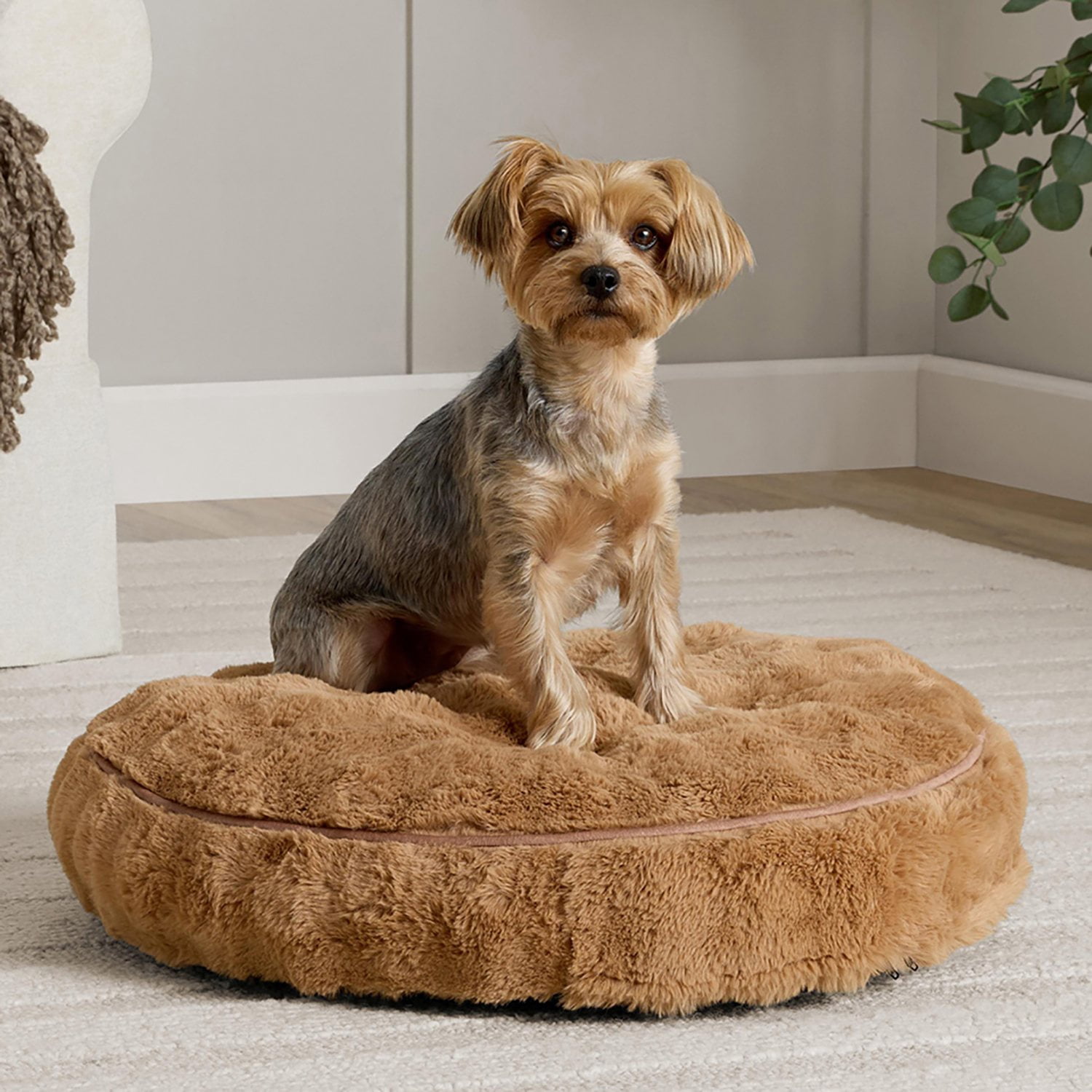 Member's Mark Round Pet Bed, Choose Size and Color - Samsclub.com