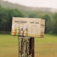 thumbnail image 2 of Ommegang Upstate Discovery Ale Beer Variety Pack, 16 fl. oz. can, 8 pk., 2 of 13