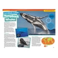 thumbnail image 3 of National Geographic Kids Almanac 2027, Trade Paperback, 3 of 4
