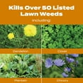 thumbnail image 5 of Scotts Winterguard Fall Weed & Feed - 45.1 lbs., 5 of 9