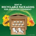 thumbnail image 2 of Air Wick Plug In Scented Oil Air Freshener, Hawaii Exotic Papaya & Hibiscus Flower, 2 warmers + 7 refills, 2 of 11