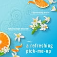 thumbnail image 9 of Febreze PLUG Scent Booster, Scented Oil Starter Kit, Warmer + 2 Refresh & Energize + 1 Ocean Refills, 9 of 10