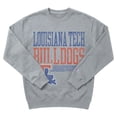 thumbnail image 5 of Champion NCAA Grey Crewneck Sweatshirt, 5 of 6