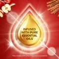 thumbnail image 6 of Air Wick Plug In Scented Oil Air Freshener, Holiday Apple Cinnamon Medley, 1 Warmer + 6 Refills, 6 of 9