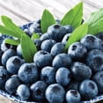 thumbnail image 3 of Member's Mark Blueberry Patriot & Jersey, 2pk, 3 of 10