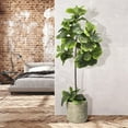 thumbnail image 4 of Faux 60" Fig Floor Plant in Roped Basket, 4 of 6