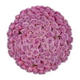 thumbnail image 1 of Member's Mark Ecuadorian Premium Roses, choose color variety and stem count, 1 of 8