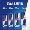 thumbnail image 8 of Red Bull Energy Drink, 20 fl. oz., 12 pk., 8 of 10
