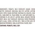 thumbnail image 3 of REESE'S Milk Chocolate Peanut Butter Eggs Easter Candy 65 pcs., 3 of 9