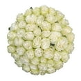 thumbnail image 1 of Member's Mark Ecuadorian Premium Roses, choose color variety and stem count, 1 of 7