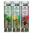 thumbnail image 1 of Scentsicles 3-Pack Scented Stick Ornaments - White Winter Fir, O Christmas Tree, and Snowberry Pine, 1 of 4