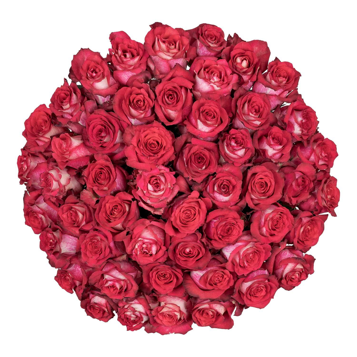 Member's Mark Ecuadorian Premium Roses, choose color variety and stem ...