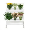 thumbnail image 1 of Member's Mark DIY Floral Bouquet Bar, 144 stems, choose variety, 1 of 6