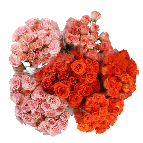 Member's Mark Spray Roses, Choose color variety and stem count
