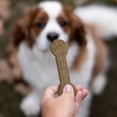 thumbnail image 5 of Member's Mark Dental Chew Treats for Dogs, 30 ct., 5 of 7