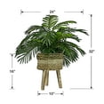 thumbnail image 6 of Faux 32" Phoenix Palm in Tri-Colored Tripod Basket Stand, 6 of 6