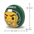 thumbnail image 5 of Logo Brands Hawaii Rainbow Warriors Puff Pillow, 5 of 5