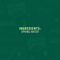 thumbnail image 2 of Truckload Poland Spring Bottled Water, 16.9 fl. oz., 40 pk., 912 cases, 2 of 4