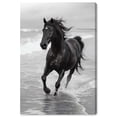 thumbnail image 2 of Graceful Horse Black and White Canvas Print by Oliver Gal Prints, 2 of 5